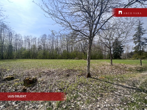 For sale  - land Putti-Hindriku, Seliste küla, Pärnu linn, Pärnu maakond