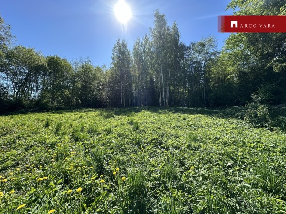 For sale  - land Jõesaare, Tänassilma küla, Viljandi vald, Viljandi maakond