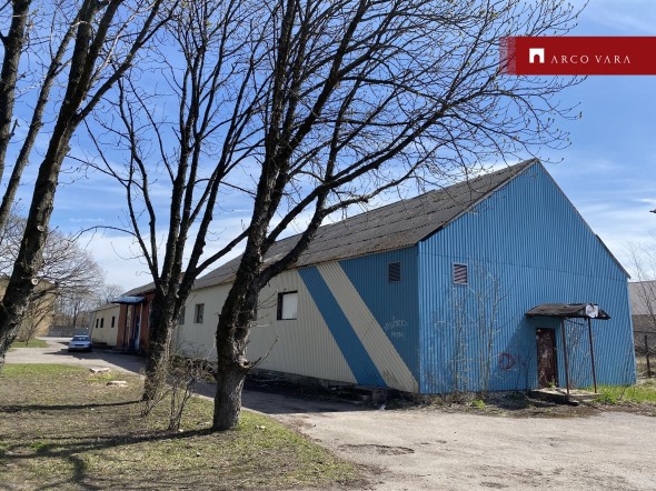 For sale  - service Järveküla tee 32a, Järve linnaosa, Kohtla-Järve linn, Ida-Viru maakond