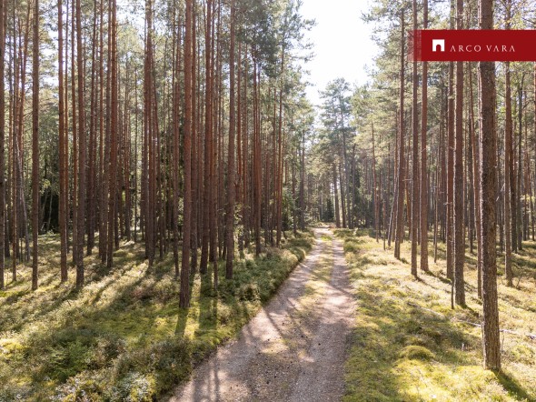 Müüa maa Puisoksa, Alliklepa küla, Lääne-Harju vald, Harju maakond