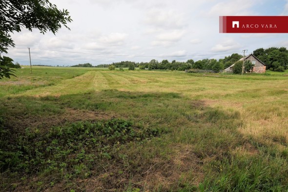 For sale  - land Väike-Albu, Albu küla, Järva vald, Järva maakond