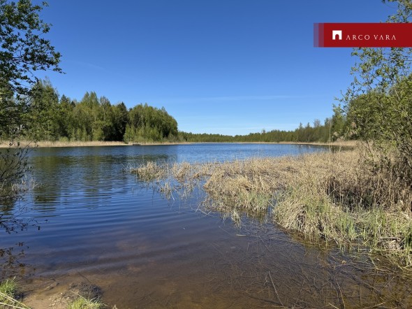 Müüa maa Erikniidu, Kõrveküla alevik, Tartu vald, Tartu maakond