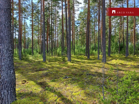 Müüa maa Saarde, Väike-Rõsna küla, Setomaa vald, Võru maakond