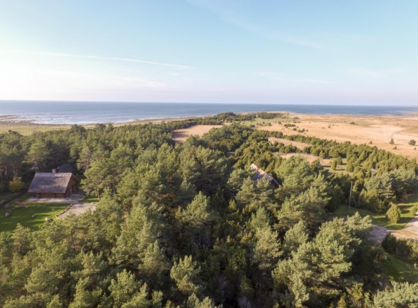 For sale  - land Väike-Tanuma, Lahetaguse küla, Saaremaa vald, Saare maakond