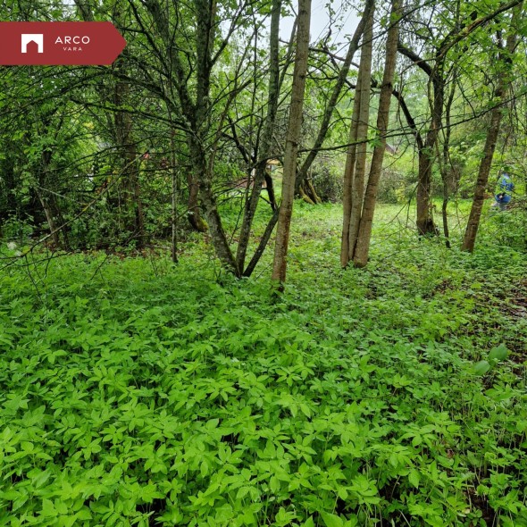 For sale  - land Tammesalu, Kaimi küla, Elva vald, Tartu maakond