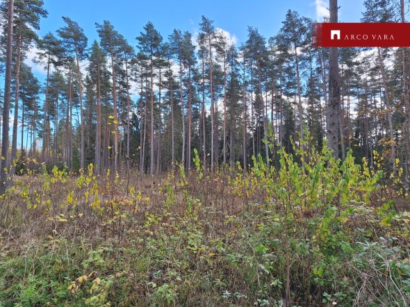 For sale  - land Kalsu karjamaa, Kose alevik, Kose vald, Harju maakond