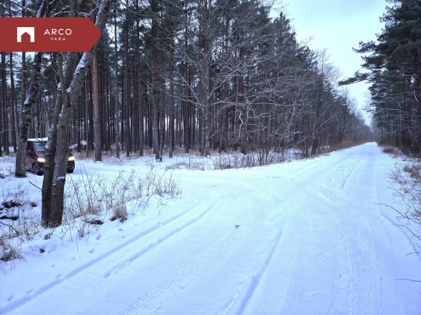 Müüa maa Metsise, Mändjala küla, Saaremaa vald, Saare maakond