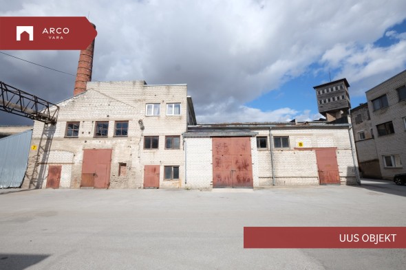 Üürile anda laopind Lossi  41, Viljandi linn, Viljandi maakond