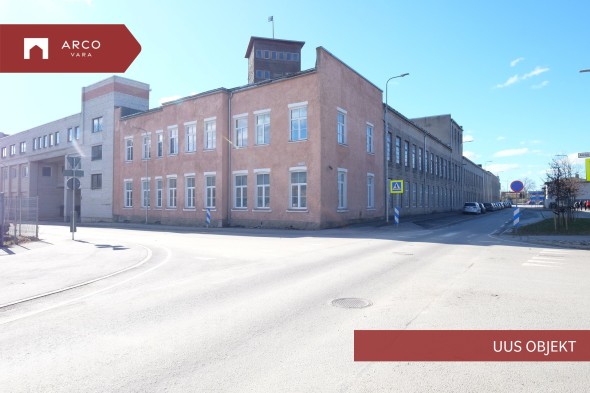 For rent  - service Lossi  41, Viljandi linn, Viljandi maakond