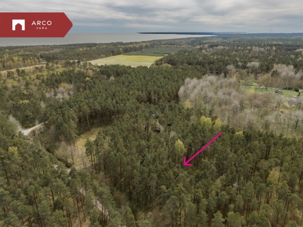 Müüa maa Metsise, Mändjala küla, Saaremaa vald, Saare maakond