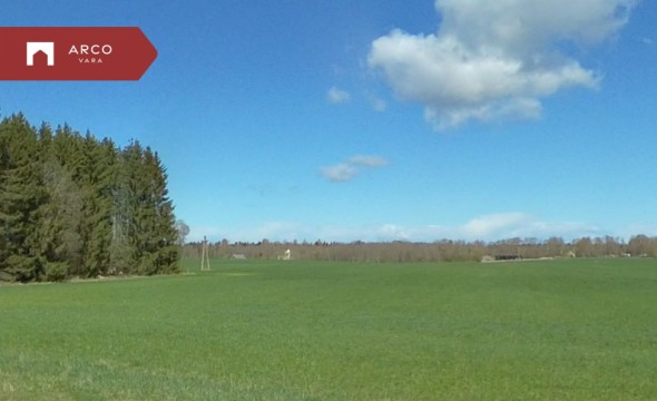 For sale  - land Valgepõllu, Sauste küla, Haljala vald, Lääne-Viru maakond