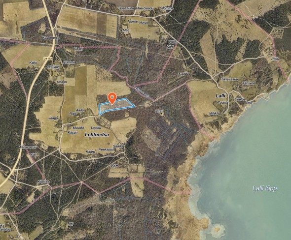 For sale  - land Hiiemetsa, Lehtmetsa küla, Muhu vald, Saare maakond