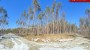 For sale  - land Ankru tee 2, Katase küla, Alutaguse vald, Ida-Viru maakond