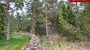 Müüa maa Väike-Tanuma, Lahetaguse küla, Saaremaa vald, Saare maakond