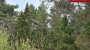 For sale  - land Väike-Tanuma, Lahetaguse küla, Saaremaa vald, Saare maakond