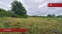 For sale  - land Oksa, Ohessaare küla, Saaremaa vald, Saare maakond