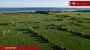 For sale  - land Lõpe, Tiirimetsa küla, Saaremaa vald, Saare maakond