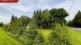 For sale  - house Lepasaare, Pajusti alevik, Vinni vald, Lääne-Viru maakond