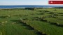 For sale  - land Lõpe, Tiirimetsa küla, Saaremaa vald, Saare maakond