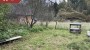 Продаётся хутор Kopli, Palupera küla, Elva vald, Tartu maakond