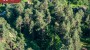 For sale  - land Klaukse tee 8, Salmistu küla, Kuusalu vald, Harju maakond