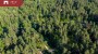For sale  - land Klaukse tee 8, Salmistu küla, Kuusalu vald, Harju maakond