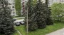 Üürile anda korter Jaan Koorti  3, Lasnamäe linnaosa, Tallinn, Harju maakond