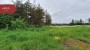 For sale  - land Kesa, Paekna küla, Kiili vald, Harju maakond