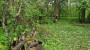 For sale  - land Tammesalu, Kaimi küla, Elva vald, Tartu maakond