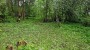 For sale  - land Tammesalu, Kaimi küla, Elva vald, Tartu maakond