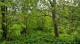 For sale  - land Tammesalu, Kaimi küla, Elva vald, Tartu maakond