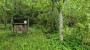 For sale  - land Tammesalu, Kaimi küla, Elva vald, Tartu maakond