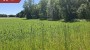 For sale  - house Tooma-Jaagu, Audla küla, Saaremaa vald, Saare maakond