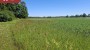 For sale  - house Tooma-Jaagu, Audla küla, Saaremaa vald, Saare maakond