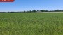 For sale  - house Tooma-Jaagu, Audla küla, Saaremaa vald, Saare maakond