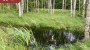 For sale  - farm Toolamaa küla, Räpina vald, Põlva maakond