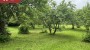 For sale  - farm Visusti küla, Jõgeva vald, Jõgeva maakond