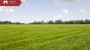 For sale  - land Vana-Miku, Kolgaküla, Kuusalu vald, Harju maakond