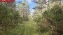 Продаётся земля Rusniku, Ööriku küla, Saaremaa vald, Saare maakond