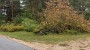 For sale  - land Õhtupäikese, Einbi küla / Enby, Lääne-Nigula vald, Lääne maakond