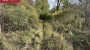 For sale  - land Metsaveere, Altnurga küla, Põltsamaa vald, Jõgeva maakond