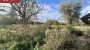 For sale  - land Metsaveere, Altnurga küla, Põltsamaa vald, Jõgeva maakond