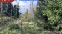 For sale  - land Metsaveere, Altnurga küla, Põltsamaa vald, Jõgeva maakond