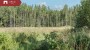 Müüa maja Liisa, Metsakivi küla, Peipsiääre vald, Tartu maakond