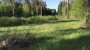 For sale  - land Soone, Kasepere küla, Lääne-Harju vald, Harju maakond