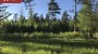 For sale  - land Soone, Kasepere küla, Lääne-Harju vald, Harju maakond