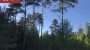 For sale  - land Soone, Kasepere küla, Lääne-Harju vald, Harju maakond
