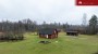 Продаётся дом Kopli, Laitse küla, Saue vald, Harju maakond