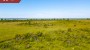 For sale  - land Riida, Rannaküla, Muhu vald, Saare maakond