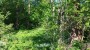 For sale  - land Kanarbiku 12, Laulasmaa küla, Lääne-Harju vald, Harju maakond